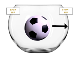 hip impingement like a soccerball in a fishbowl illustration